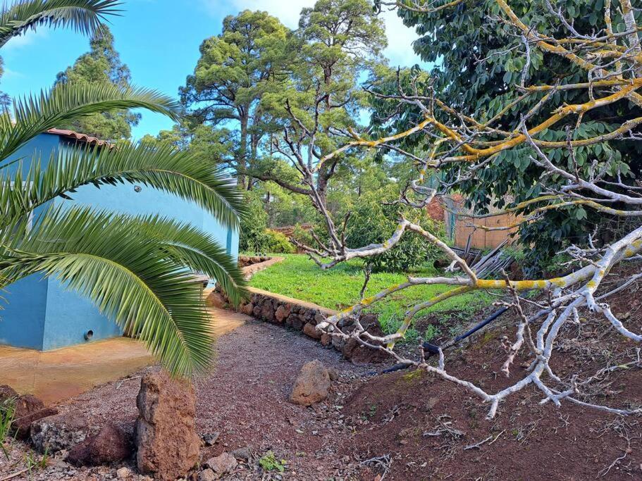 Apartmán Casa Nogal Puntagorda Exteriér fotografie