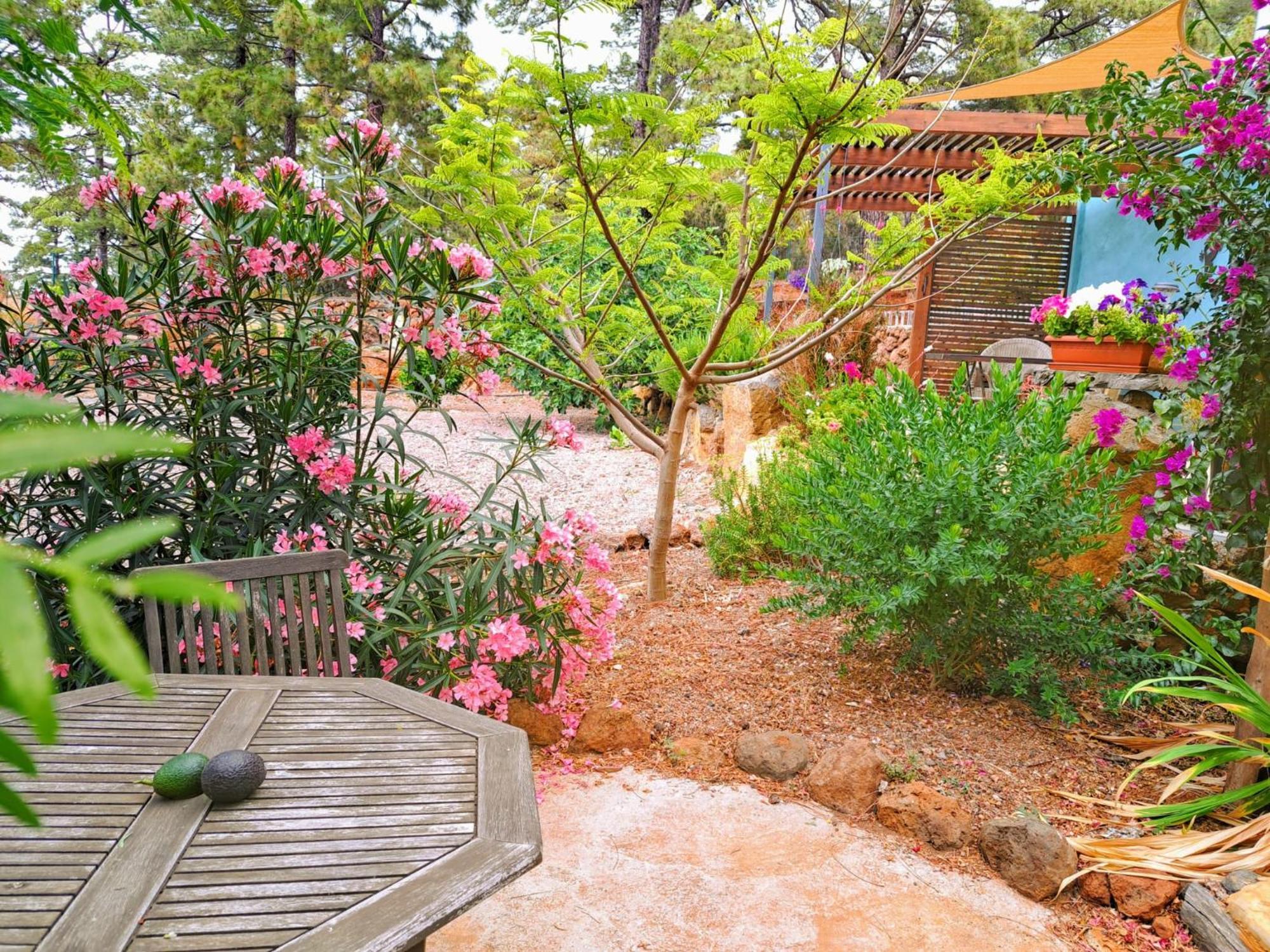Apartmán Casa Nogal Puntagorda Exteriér fotografie